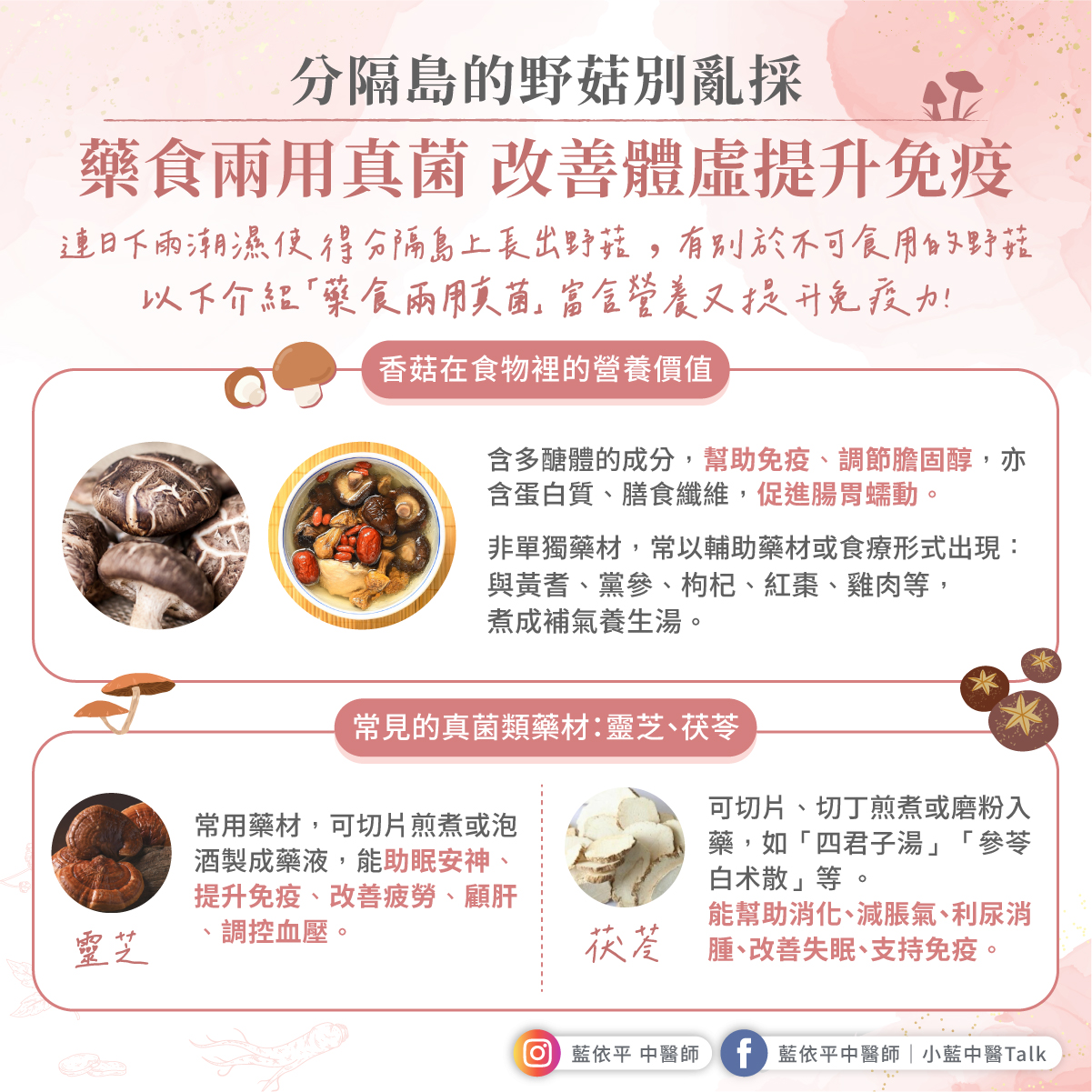 菇類 免疫 提升