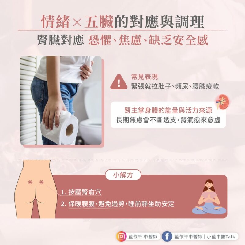 五臟與情緒的對應關係 情緒 腎